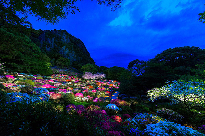 佐賀・御船山楽園「花まつり」春は2千本の桜・初夏はツツジと大藤が開花、九州最大規模のライトアップも｜写真15