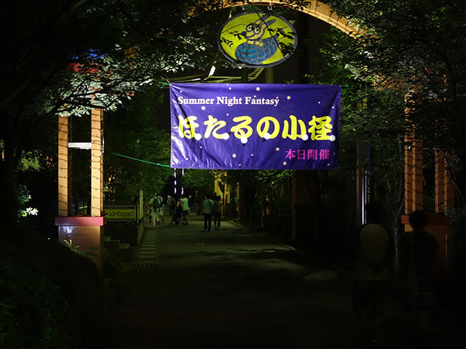 夜のすみだ水族館でホタル観賞「ほたるの夜」期間限定で開催｜写真8