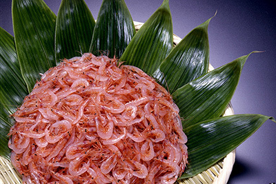 富士山｜「由比桜えびまつり」日本最大の桜えびの祭典 - 生の桜えび＆しらすを静岡市で