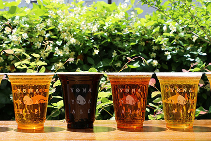 「YONA YONA BEER WORKS」夏限定ビアガーデンが赤坂に、17年限定ビールやランチ営業 | 写真