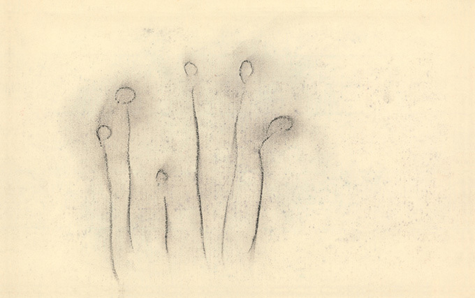 オノ・ヨーコ展が渋谷ヒカリエで開催 - 「見えない花」から感じる、彼女のみずみずしい感性と芸術の原点｜写真1