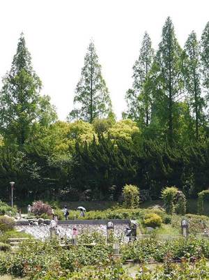 ネペンテスの限定ストア グリーンピープル が大阪に こだわりの植物や園芸グッズ 限定tシャツも ファッションプレス ネペンテスの限定ストア グリーンピープル が大阪に こだわりの植物や園芸グッズ 限定tシャツも ファッションプレス