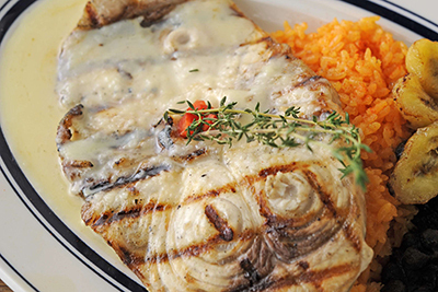 行列｜「カフェハバナ」NY発キューバ料理店が日本上陸、代官山に1号店