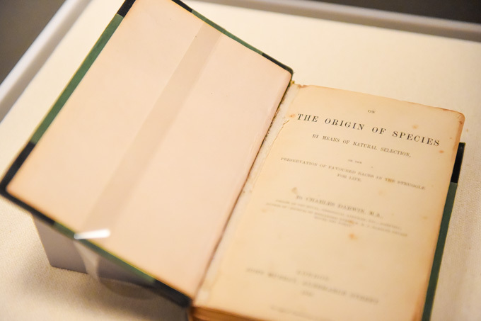 展覧会「宇宙と芸術展」ガイド、森美術館で開催-現代アートと宇宙開発の最前線、チームラボ新作で宇宙遊泳 | 写真