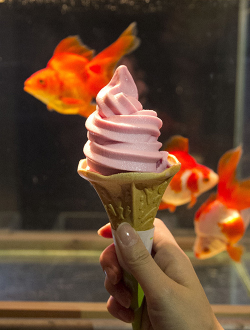 すみだ水族館の夏イベント「お江戸の金魚ワンダーランド」千匹の金魚が舞う全長100mの新展示も｜写真29