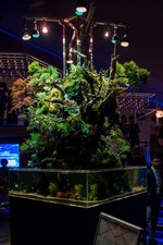 すみだ水族館の夏イベント「お江戸の金魚ワンダーランド」千匹の金魚が舞う全長100mの新展示も｜写真19