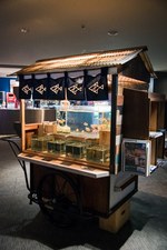 すみだ水族館の夏イベント「お江戸の金魚ワンダーランド」千匹の金魚が舞う全長100mの新展示も｜写真15