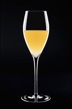 シャネル(CHANEL), アラン・デュカス(Alain Ducasse) ベージュ アラン・デュカス 東京｜写真3