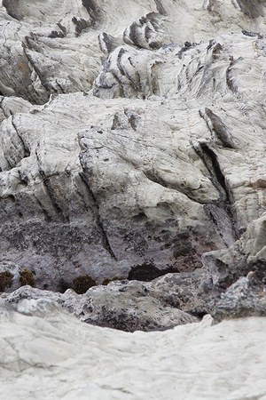 イェンス(Jens) 2016-17年秋冬 ウィメンズコレクション  - 写真6