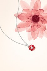 パンドラ(PANDORA) 東洋と海｜写真4