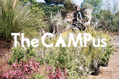 「ザ・キャンパス」