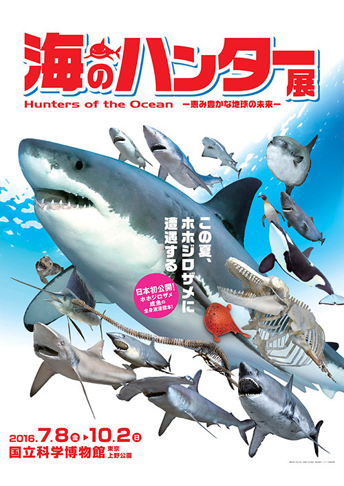 「海のハンター展」上野・国立科学博物館で開催 - 日本初公開、3.2mホホジロザメの標本が登場｜写真10