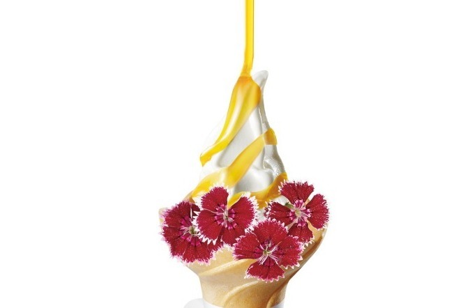 ハッチ「haccici」