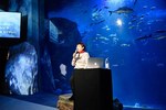 「ナイトワンダーアクアリウム2016」新江ノ島水族館を紹介 - 月光が照らす夜の海を体験｜写真119