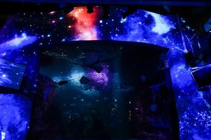 「ナイトワンダーアクアリウム2016」新江ノ島水族館を紹介 - 月光が照らす夜の海を体験｜写真7