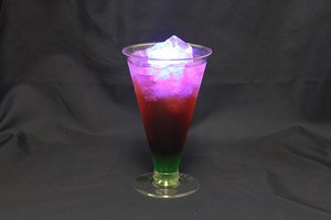 「ナイトワンダーアクアリウム2016」新江ノ島水族館を紹介 - 月光が照らす夜の海を体験｜写真109