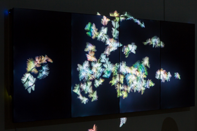 チームラボの個展が表参道で - 鑑賞者の周りに咲き乱れ散る、花と群蝶のテクノロジーアート｜写真8