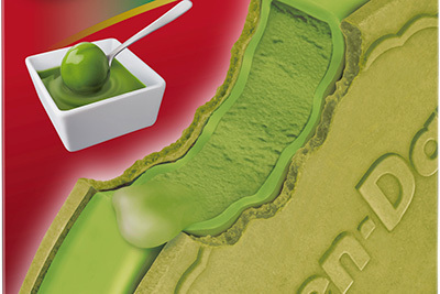 ハーゲンダッツ「抹茶フォンデュ」