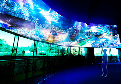 アクアリウム｜夏の横浜・八景島シーパラダイス - 昼はウォーターアトラクション、夜は幻想的な水族館で癒しを