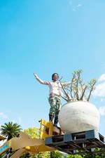 西畠清順の展覧会「ウルトラ植物博覧会」銀座で開催 - 世界中の希少植物が集結｜写真2