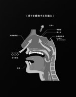 「デザインの解剖展」六本木で開催、明治「きのこの山」「ブルガリアヨーグルト」などを徹底検証｜写真9