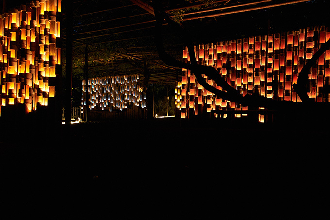 5,000個の竹灯篭が灯る「納涼 竹あかり」佐賀の日本庭園・御船山楽園で - チームラボも参加｜写真4