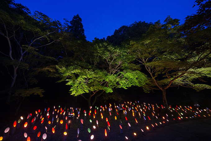 5,000個の竹灯篭が灯る「納涼 竹あかり」佐賀の日本庭園・御船山楽園で - チームラボも参加｜写真15