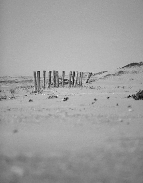 ラウンジリザード(LOUNGE LIZARD) 2016-17年秋冬 メンズコレクション  - 写真10