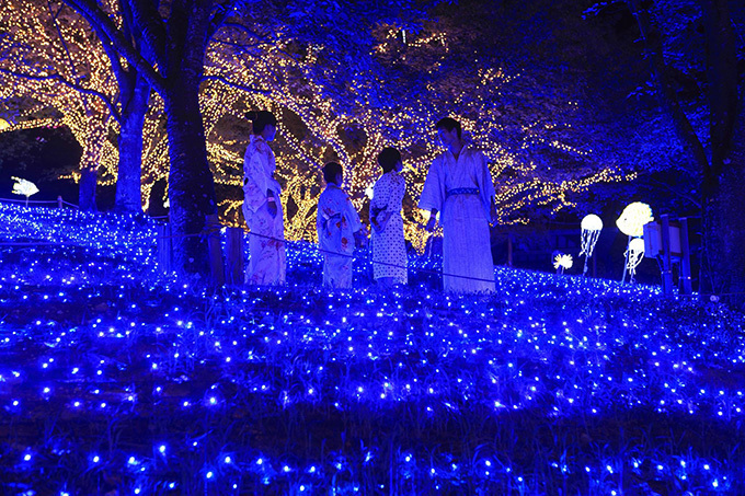 「さがみ湖納涼イルミリオン」開催 - 打ち上げ花火＆300万球のイルミネーション | 写真