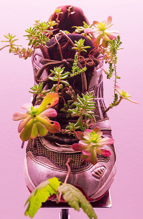 銀座メゾンエルメスでミシェル・ブラジーの展覧会「リビングルーム II」家電製品に植物が生えた作品など | 写真
