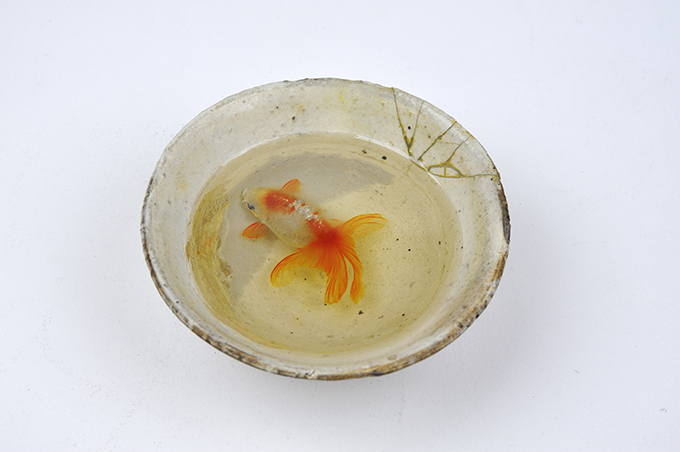金魚絵師、深堀隆介「キンギョ イン ザ スカイ」展が横浜スカイビルで -  升を泳ぐ本物のような金魚 | 写真