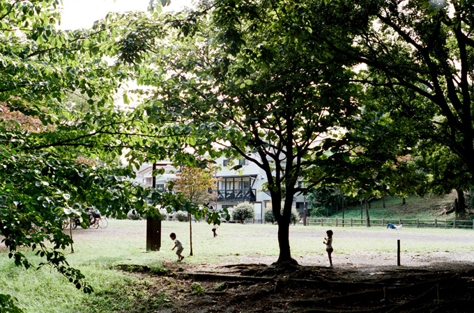 アヤメ“井の頭公園の新緑”から着想を得たアイウェア - ザ・パークサイド・ルームが別注 | 写真