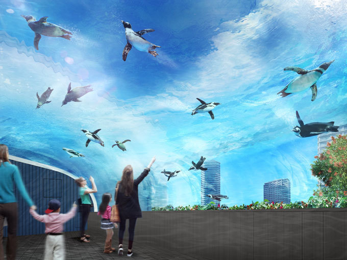 サンシャイン水族館 屋外エリアが一新「天空のペンギン」など世界初展示 - “都会の上空”を飛び交う姿｜写真29