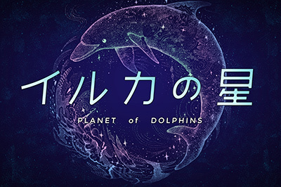 「イルカの星」