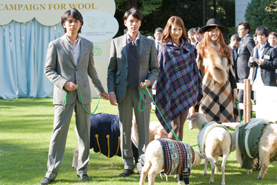 ウールをもっと身近なものに、"THE CAMPAIGN FOR WOOL"