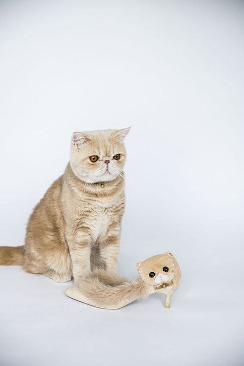 ランダ、SNSで人気の猫マッシュとコラボしたファーパンプス発売