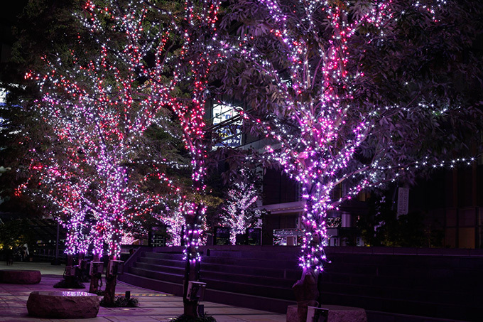 「ミッドタウン・クリスマス 2016」東京・六本木で- 幻想的な青いイルミネーションで宇宙空間を再現｜写真10