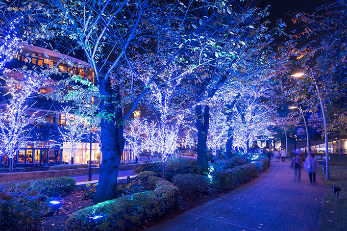 「ミッドタウン・クリスマス 2016」東京・六本木で- 幻想的な青いイルミネーションで宇宙空間を再現｜写真19
