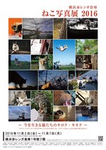 ねこの写真展が横浜赤レンガ倉庫で開催 - あらゆるジャンルの写真家が猫の“素顔”に迫る｜写真5