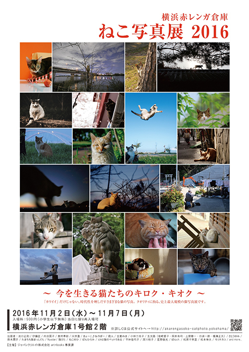 ねこの写真展が横浜赤レンガ倉庫で開催 - あらゆるジャンルの写真家が猫の“素顔”に迫る｜写真5