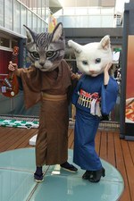 「吉祥寺ねこ祭り」22年ぶり復活『うちのタマ知りませんか？』コラボ企画、写真展、猫カフェ映画上映会など｜写真8