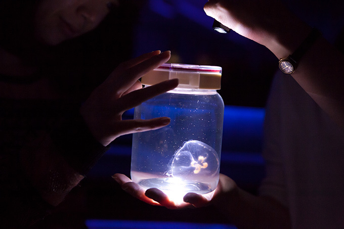 すみだ水族館×蜷川実花、クラゲ水槽が幻想的世界へ - 映像作品やアロマを駆使した万華鏡トンネルも｜写真29