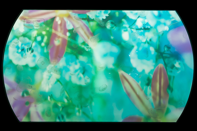 すみだ水族館×蜷川実花、クラゲ水槽が幻想的世界へ - 映像作品やアロマを駆使した万華鏡トンネルも｜写真6