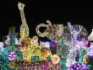 東武動物公園 ウインターイルミネーション 雄大な自然と光 音楽がコラボレート ファッションプレス