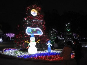 東武動物公園 ウインターイルミネーション 雄大な自然と光 音楽がコラボレート ファッションプレス