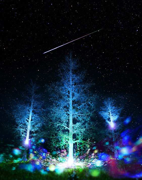 世界初 流れ星と連動する体験型イルミネーションが日本橋で開催 ふたご座流星群との連動企画も ファッションプレス