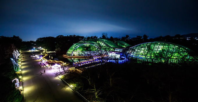 京都府立植物園の10万球LEDイルミネーション - 映画「ぼくは明日、昨日のきみとデートする」の舞台 | 写真