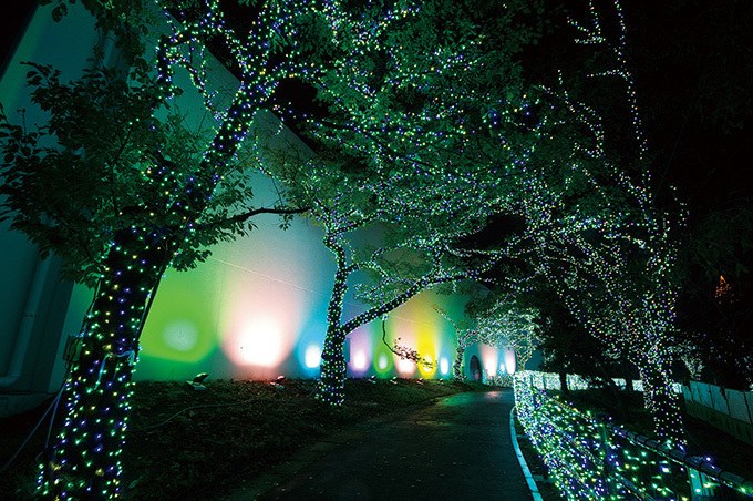 よみうりランド「ジュエルミネーション」首都圏最大550万球、“宝石イルミ”を東京の夜景と共に｜写真12