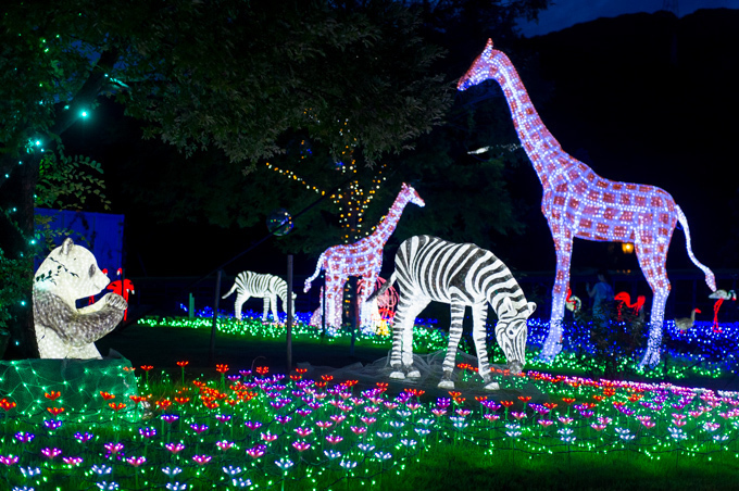 「光の王国」長崎・ハウステンボスにて - 花畑、動物がライトアップ&3Dプロジェクションマッピングも | 写真
