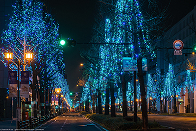 日本でここだけ｜「御堂筋イルミネーション2016」が大阪・光の饗宴2016で - 全長4kmが光で埋め尽くされる